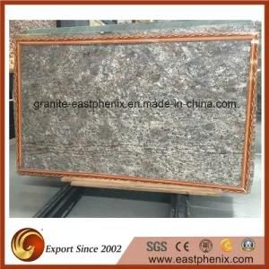 Imported Light Grey Marble Slab for Vanity Top Bathroom