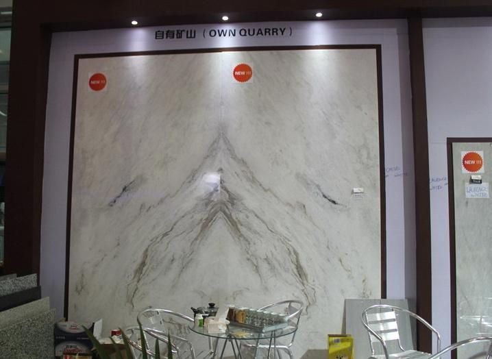 New Exclusive Castro White Marble Slabs/Tiles for Airport/Hotel/Hospital Project