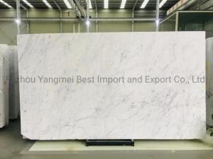 Hot Sale Bianco Carrara White Marble Marble Tile and Marble Flooring
