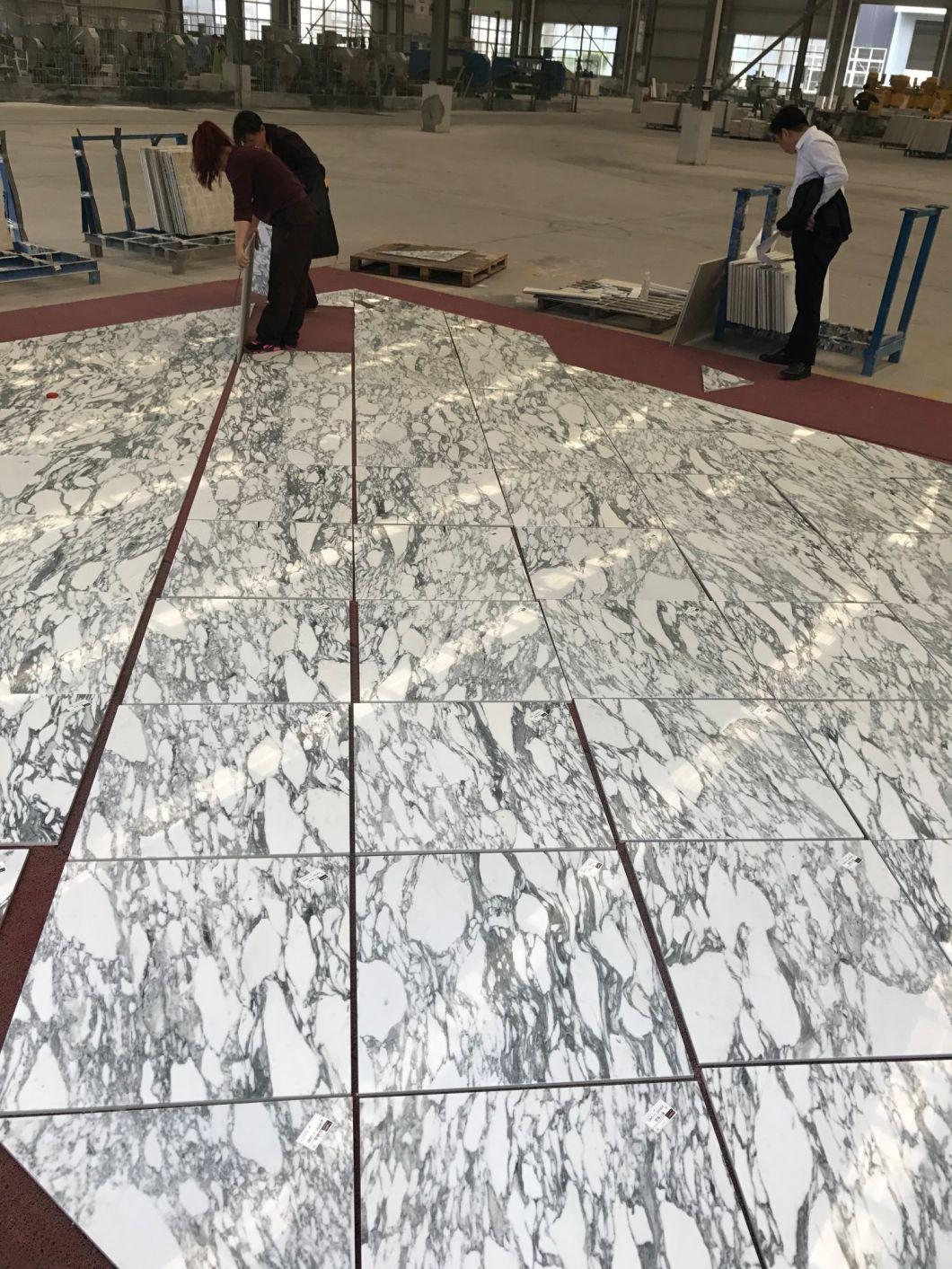 Natural Material Cheap Arabescato Stone Marble Floor Tile for Hotels/Rooms/Interior Decoration