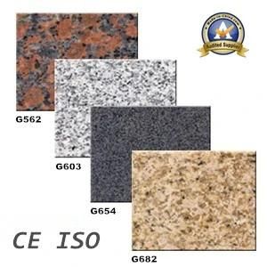 Economic Granite G383 for Swimming Pool Surrounding Drainage
