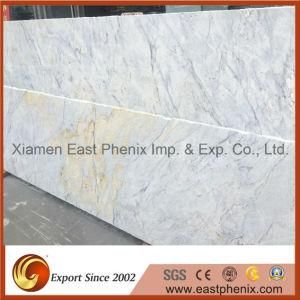 Imported Brazil Golden Fish Granite Slab Paving Slab Granite Floor Wall Tile