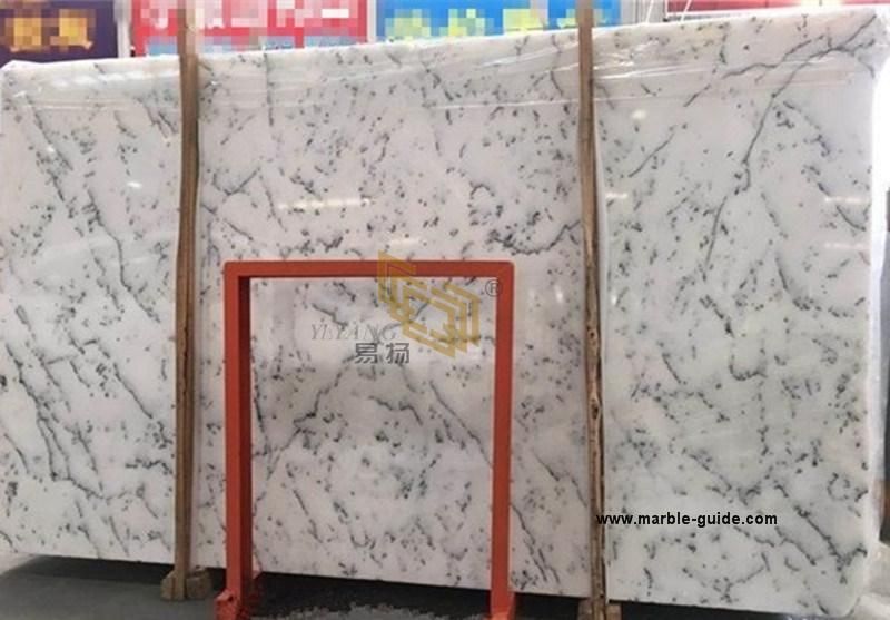 Natural Stone Centalla White Marble for Tile/Slabs/Flooring/Column/Table Countertops Building Material