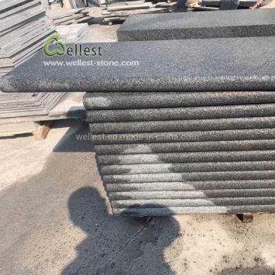 2019 Flamed Brushed Bullnose China Black Granite Steps, New G684 Black Granite Stair Treads