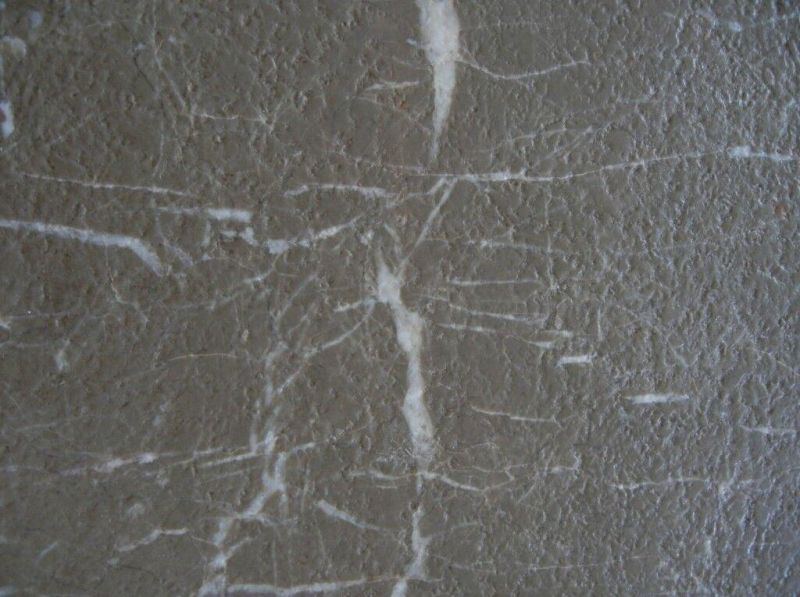 Top Selling Brown Armani Marbles Slabs