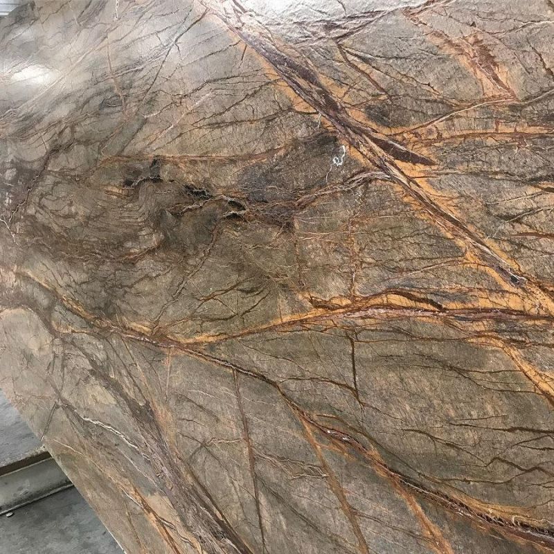 Rainforest Brown Granite for Slab/Countertop/Table