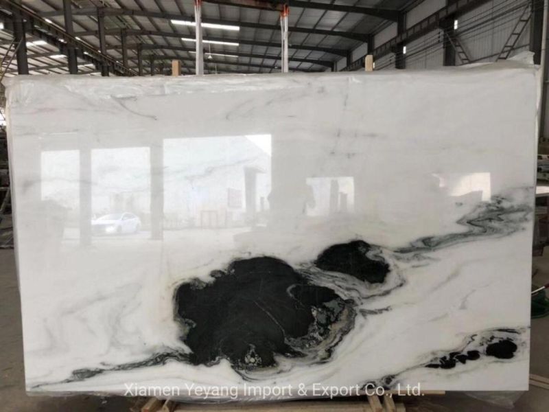 Building Material Panda White Marble for Kitchen/Countertop/Wall/Floor Tile