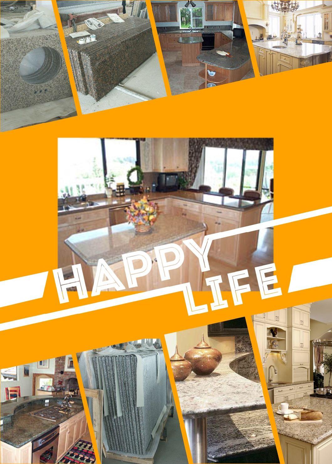 Natural Stone Granite/Quartzite Countertops Marble Design Special Table