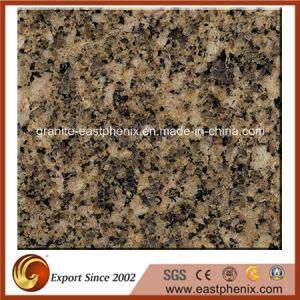 Imported Giallo Antico Granite Flooring/Wall Tile