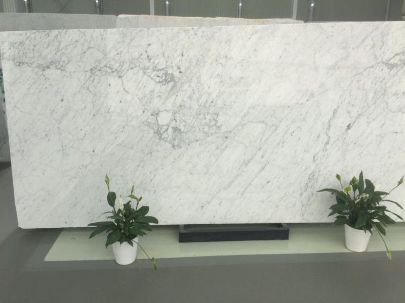 Popular White Marble for Floor and Wall Tiles
