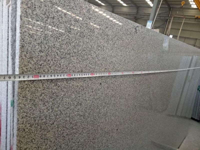 Chinese G603 Light Grey Granite Slabs for Flooring, Walling and Paving Tiles