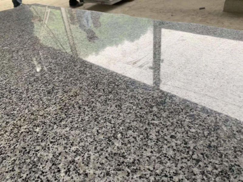 Berry Grey Polished Granite