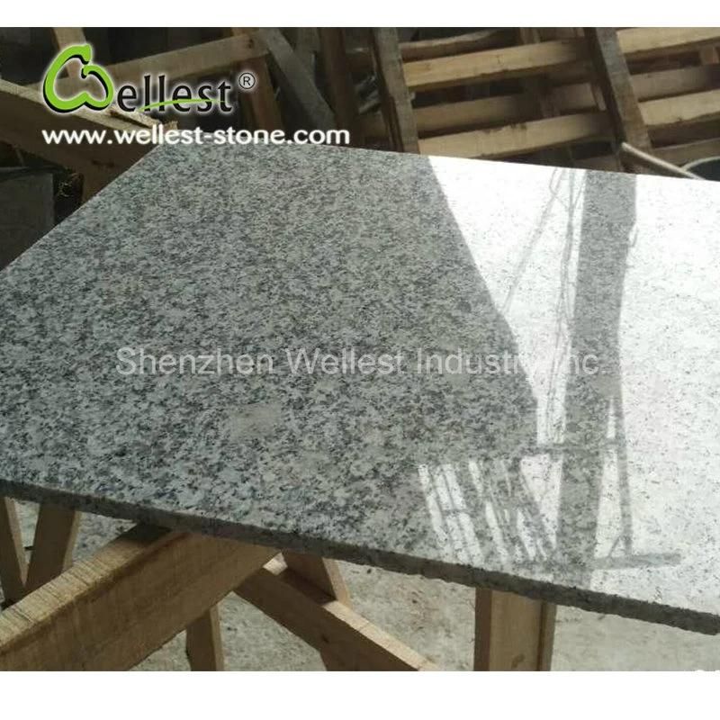 Hot Selling Floor Tiles Grey Color G603 Lunar Pearl Grey Granite for Interior Flooring