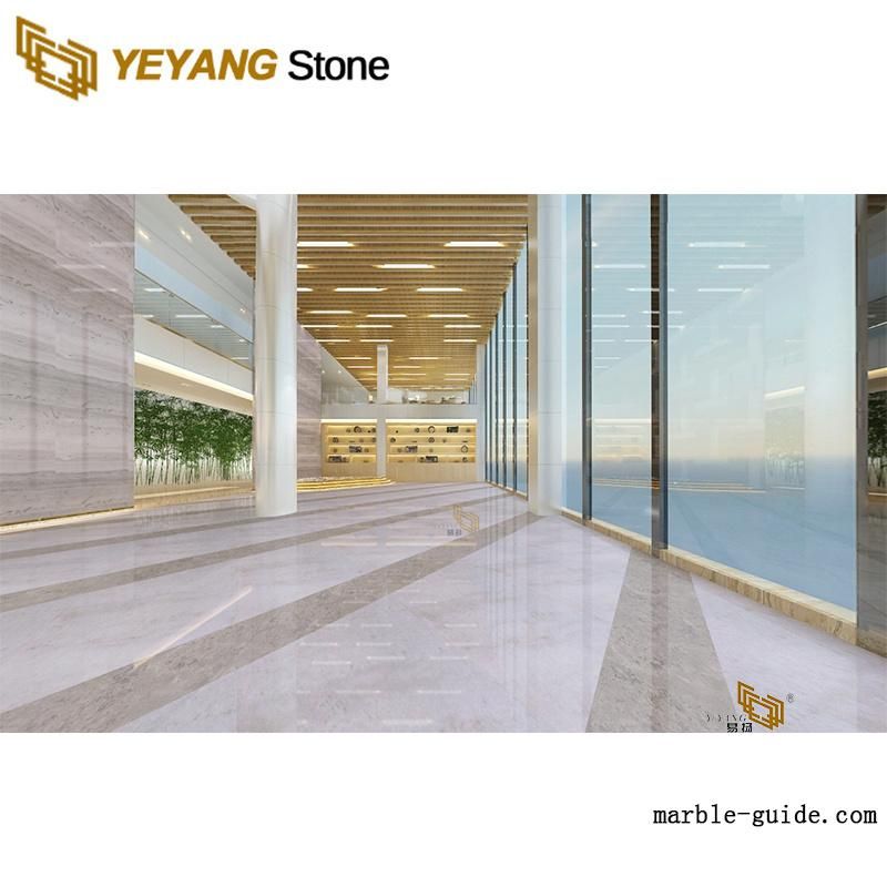 Polished China Marble White/Calacatta/Snow/Tesla/Cararra with Kitchen Slab Material for Engineering