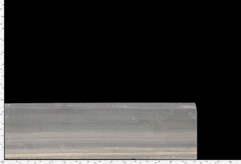 Palissandro blue Marble Interior Design Flooring