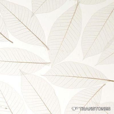 Transtones 3mm PMMA High Hardness Acrylic Hotel Wall Sheet