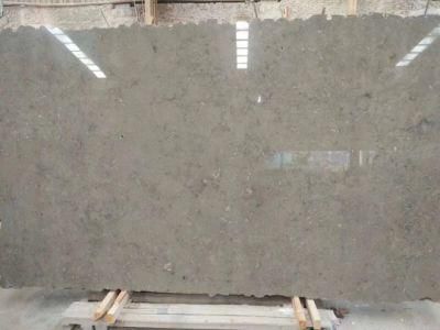 Grey Limestone Polished Portugal Marble Slabs