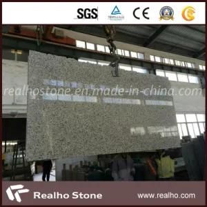 Chinese Granite Tiger Skin White Granite for Sale