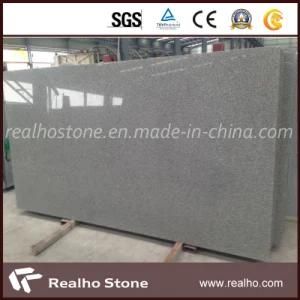 China Grey Granite G603 Slab for Tile/Floor