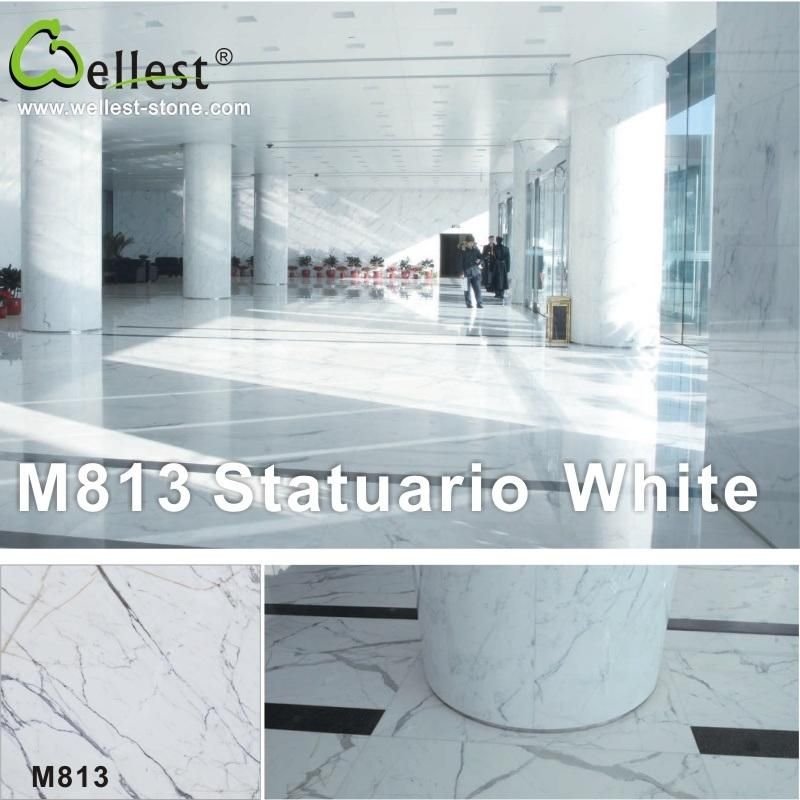 Different Beautiful Panda/Statuario/Carrara/Arabescato Corchia/Volakas White Marble for Hotel and Villa House