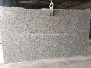 Swan Grey Granite Slab Stone for Kitchen Tops/ Vanity Tops