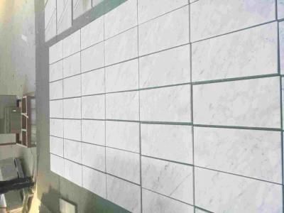 Polishing Natural Carrara White Marble Stone Slabs Tiles/Wall/Flooring (YQA-MT1001)