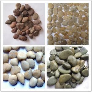 Garden Pebbles