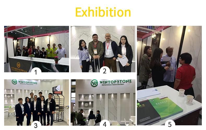 Snow White Quartz Stones Slabs Factory/Silestone Quartz Stone/Artifical Quartz Stone