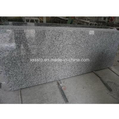 Xiamen Cheap Customized Grey Granite G602 Top for Kitchen