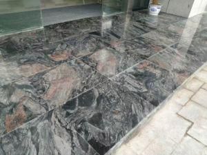 Cheap Granite Stone Tile Paving Floor for Kitchen Flooring Decorative