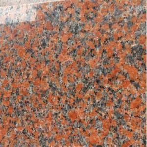 Polished/Flamed Granite G562 for Tiles/Slabs/Stairs/Steps/Risers