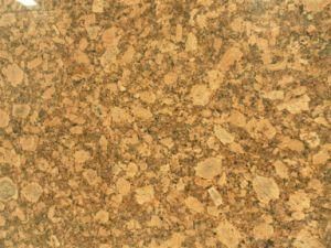 Imported Granite Giallo Fiorito for Tiles/Countertops/Kitchentops/Hotel/Building Materials
