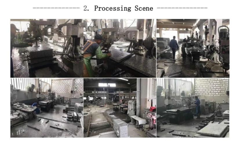 Hot Sell/Wholesale Romania/Poland/Style Granite Single Headstone/Monument for Western Design