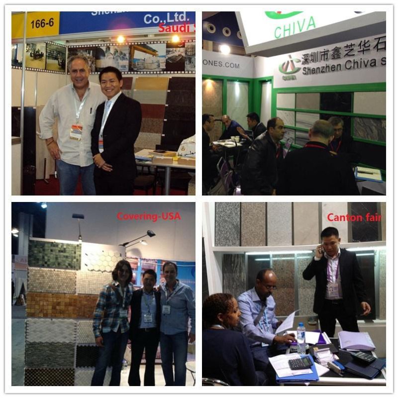 High Quality Decoration Material Polished China Green Granite Tile/Slab/Wall Coveing/Flooring