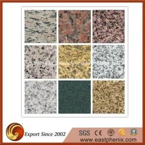 Popular Granite Stone Tile for Flooring/Wall/Bathroom/Shower Tile