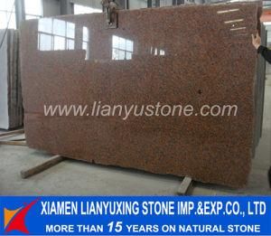 G562 Maple Red Granite Slab for Floor&Stair