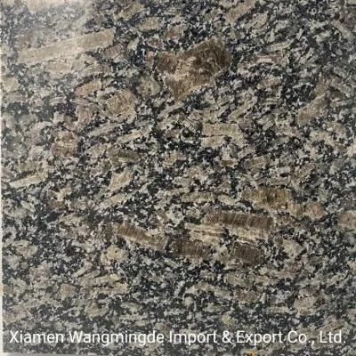 Brown China Polished Granite for Building Floor and Wall