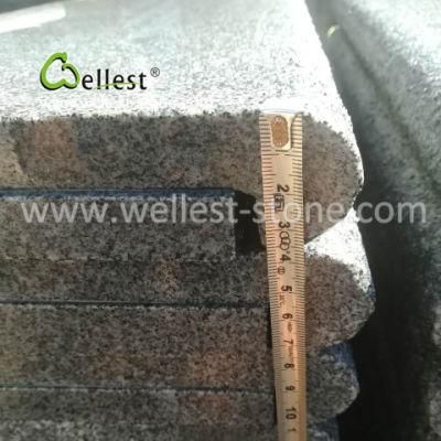 Rough Surface Semicircle Arc-Shaped Edge Dark Grey Swimming Pool Coping Paver