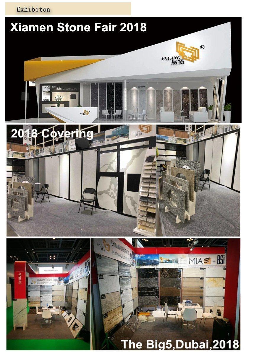 Popular Natural White Marble, Marble Tiles and Marble Slabs