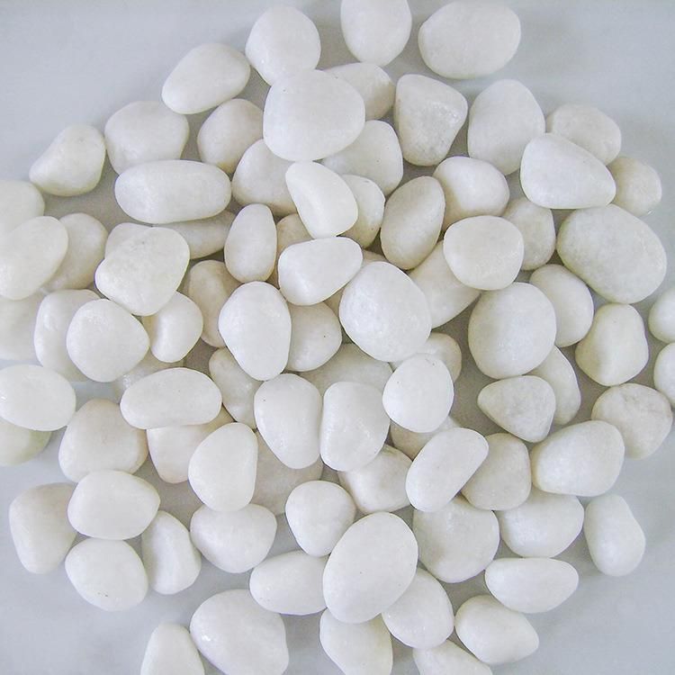 Tumbled Snow White Stone for Garden Decoration