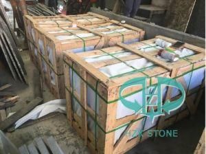 Natural Building Material Polished/Flamed/Honed Black Stone Granite for Tiles