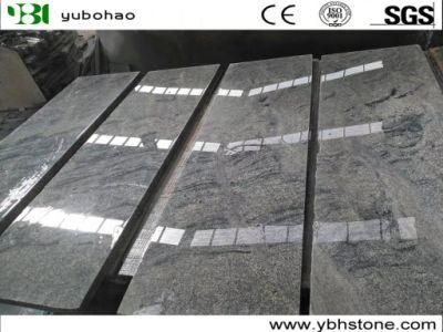 Polished New Fantasy Grey/Nero Santiago/Ash Grey Granite for Paving/Tiles/Flooring/Landscaping