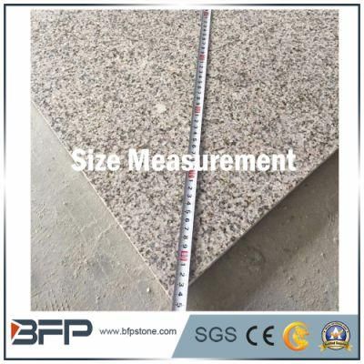Polished/Flamed/Honed/Bush Hammered Natural Stone Grey Granite G603 Granite Stone Tile for Outdoor Decoration