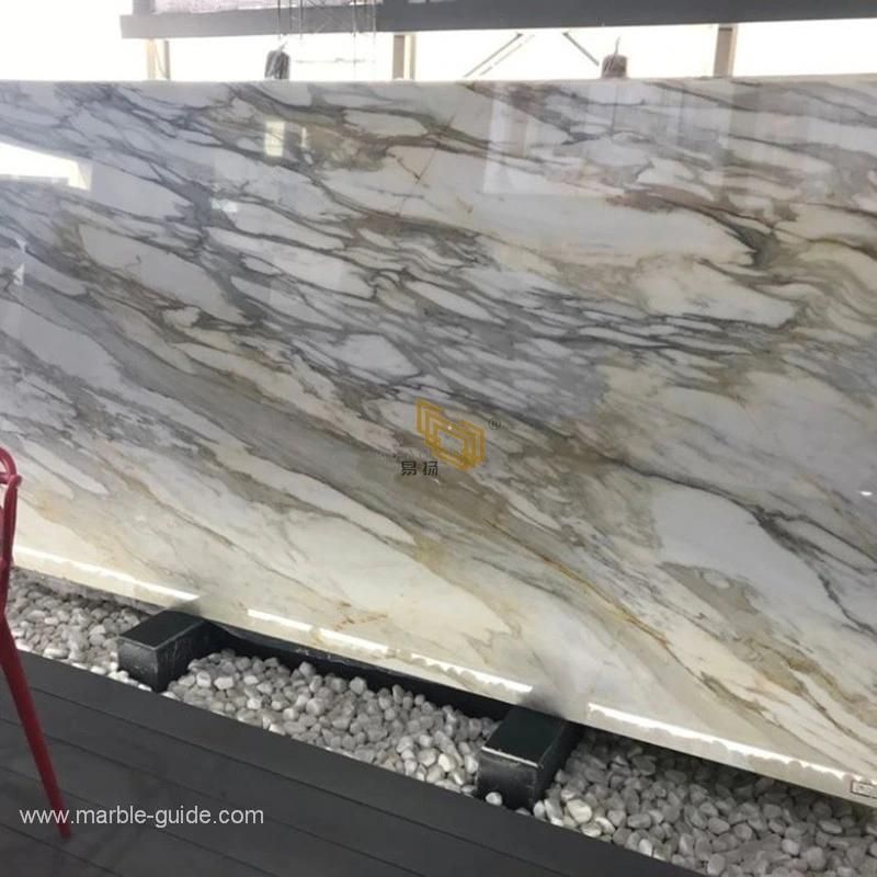 Calacatta Gold Marble Carrara Bianco/Gold Marble for Bathroom Vanity Top