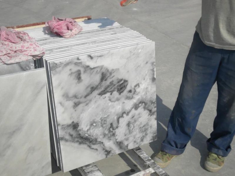 White Marble with Grey Cloud Slabs/Tiles Wall Floor Tile/Interior Decoration