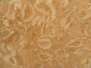 Golden Shell Marble Slab for Countertops and Building Materials