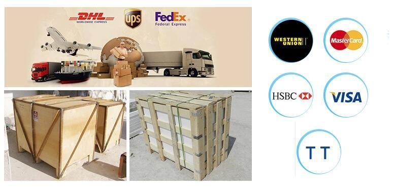 Outdoor Natural Stone Roman Pillars Building Material Hand Carved Polished Italy Marble Solid Roman Column
