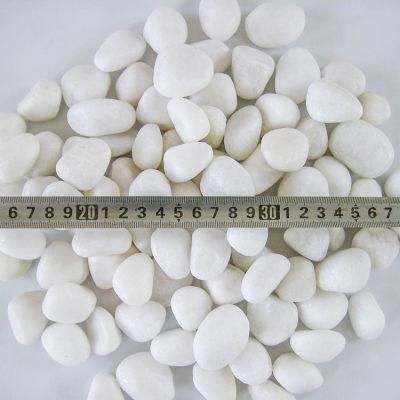 Tumbled Snow White Stone for Garden Decoration