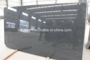 Honed/Polished Impala Black Granite for Floor Tile/Flooring Tile/Paving
