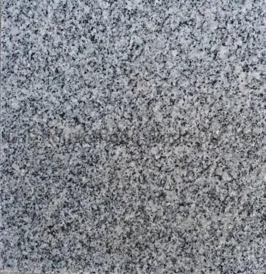 a Large Number of Wholesale Chinese Grey Natural Granite Building Plate Stone G3654